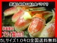 【送料無料】5L生冷ズワイカニ2本爪1キロ31本〜40本