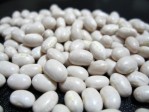 【先行予約販売】新豆 大手亡豆19年度 北海道産