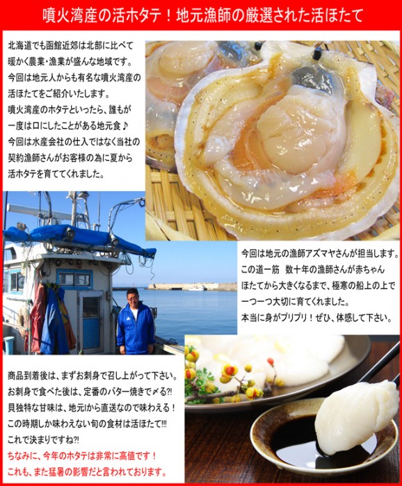 【北海道噴火湾産】活ほたて3kg 15枚前後〜20枚前後 | 日本全国各地のお取り寄せモール風土jp
