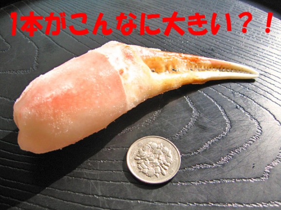 お試し価格 生冷5Lズワイカニ2本爪500g10本前後 北海道発 | 日本全国各地のお取り寄せモール風土jp