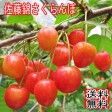 送料無料 先行予約販売 北海道産佐藤錦さくらんぼ バラ詰め