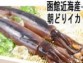 【送料無料】【函館近海産】朝どりイカ 1箱20尾〜30尾入り