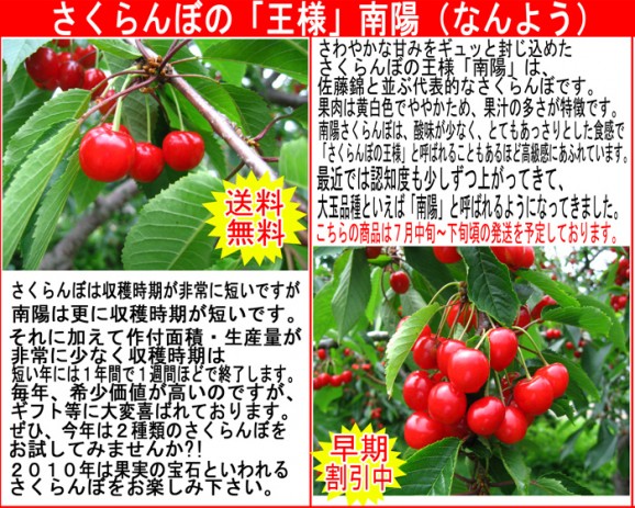 【送料無料 先行予約販売】南陽さくらんぼ【北海道産 バラ詰め】 | 日本全国各地のお取り寄せモール風土jp