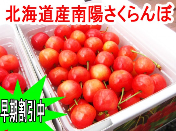 【送料無料 先行予約販売】南陽さくらんぼ【北海道産 バラ詰め】 | 日本全国各地のお取り寄せモール風土jp
