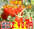 ������̵�������٣��ٰʾ� �פ��ȥޥȡ���åף�kg1Ȣ40�ġ�60��������̳�ƻ���� 