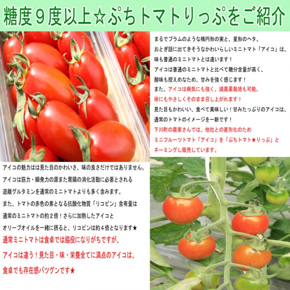 【送料無料】糖度9度以上 ぷちトマト☆リップ1kg1箱40個〜60個前後【北海道産】 | 日本全国各地の名産品やお土産のお取り寄せモール 風土jp