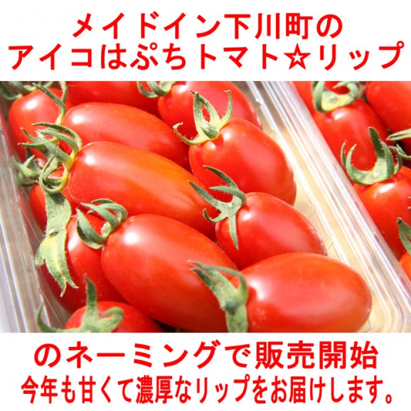 【送料無料】糖度9度以上 ぷちトマト☆リップ1kg1箱40個〜60個前後【北海道産】 | 日本全国各地の名産品やお土産のお取り寄せモール 風土jp