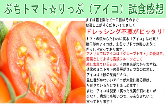【送料無料】糖度9度以上 ぷちトマト☆リップ1kg1箱40個〜60個前後【北海道産】 | 日本全国各地の名産品やお土産のお取り寄せモール 風土jp
