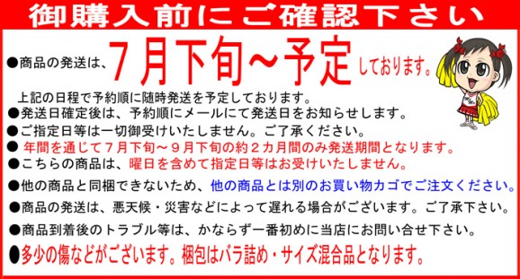 【送料無料】糖度9度以上 ぷちトマト☆リップ1kg1箱40個〜60個前後【北海道産】 | 日本全国各地の名産品やお土産のお取り寄せモール 風土jp