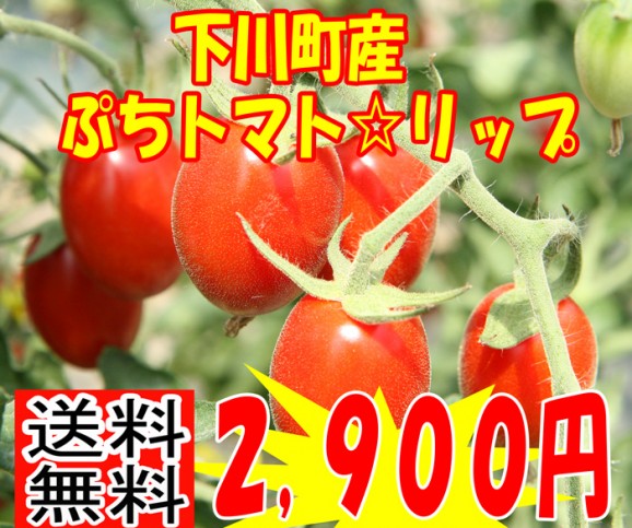 【訳あり・送料無料】フルーツトマトおかわり君1kg【北海道発】