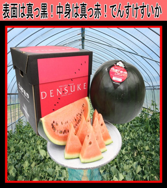 【送料無料】高級ブランドずっしり重い♪大玉でんすけスイカ 【良品】すいか | 日本全国各地のお取り寄せモール風土jp