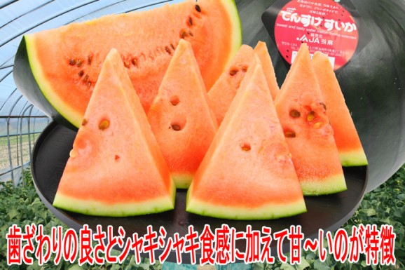 【送料無料】高級ブランドずっしり重い♪大玉でんすけスイカ 【良品】すいか | 日本全国各地のお取り寄せモール風土jp