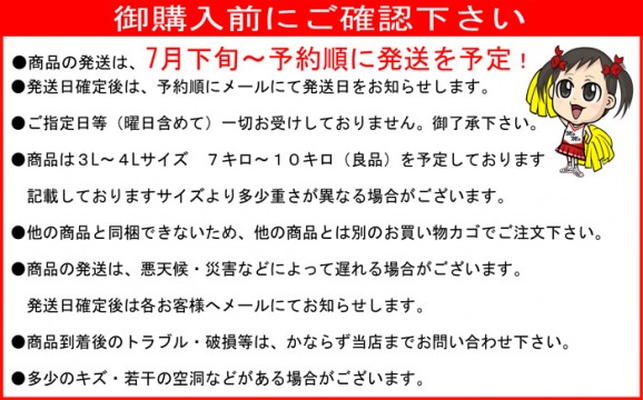 【送料無料】高級ブランドずっしり重い♪大玉でんすけスイカ 【良品】すいか | 日本全国各地のお取り寄せモール風土jp