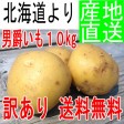 ��37%OFF������̵�������ꡦ�櫓������˼ߤ���10kg ���㤬����
