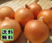 【送料無料】新たまねぎ タマネギ 10kg 北海道産