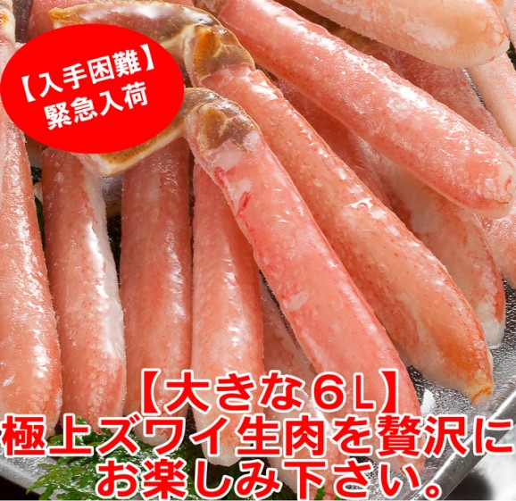 ̵ۣL䥺磻500g 10ܡ15ܡڤˡ | ϤΤ󤻥⡼jp