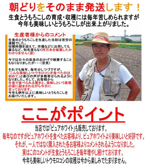 【送料無料】生ゴールドラッシュ10本【先行予約販売】 | 日本全国各地のお取り寄せモール風土jp