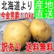 ������̵�������ꡦ�櫓����ۺ��⻺ �˼ߤ���10kg ���㤬����