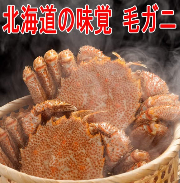 【送料無料・訳あり】毛蟹 1kg 2尾〜3尾 | 日本全国各地のお取り寄せモール風土jp