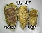 ꥢӥḁ̊ġʣ̾ͤ˥ | ϤΤ󤻥⡼jp