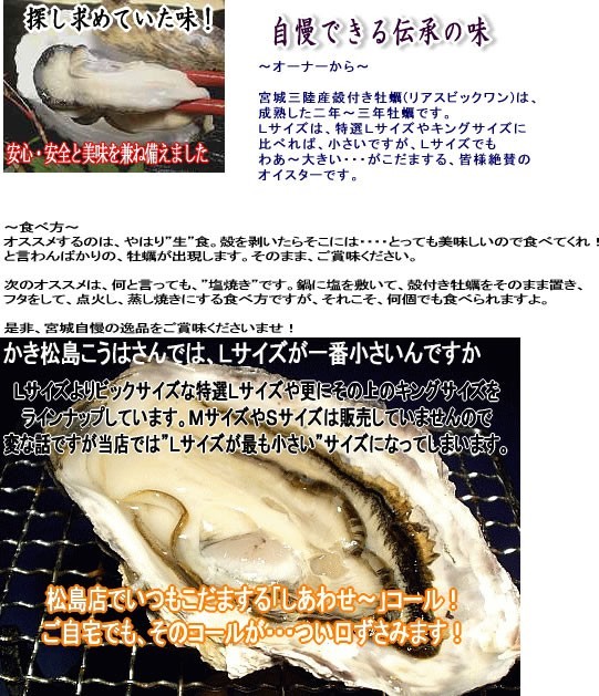 ꥢӥḁ̊ġʣ̾ͤ˥ | ϤΤ󤻥⡼jp