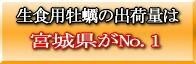 「送料無料」リアスビックワンLサイズ60個 | 日本全国各地のお取り寄せモール風土jp