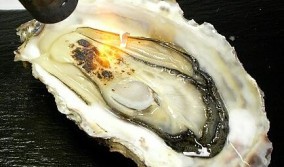 「送料無料」リアスビックワンLサイズ60個 | 日本全国各地のお取り寄せモール風土jp