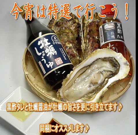 ꥢӥḁ̊ġʤ | ϤΤ󤻥⡼jp