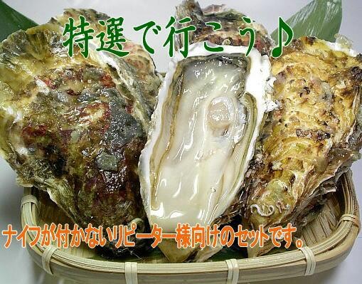 ꥢӥḁ̊ġʤ  | ϤΤ󤻥⡼jp