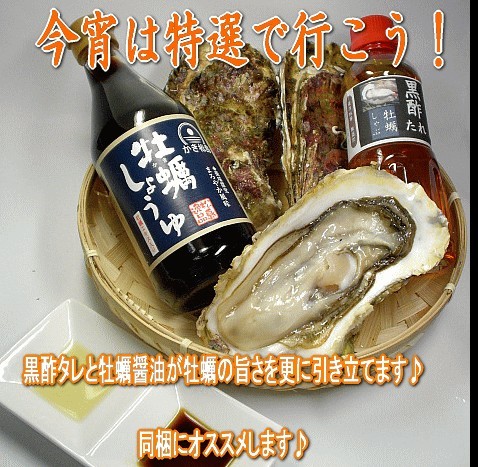 ̵ץꥢӥḁ̊ | ϤΤ󤻥⡼jp