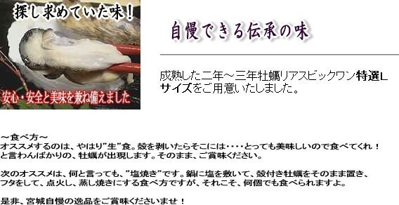 ̵ץꥢӥḁ̊ | ϤΤ󤻥⡼jp