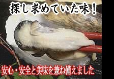 ¥ê¥¢¥¹¥Ó¥Ã¥¯¥ï¥ó¥¥ó¥°¥µ¥¤¥º£±£°¸Ä¡Ê£²Ì¾Íͤ˥ª¥¹¥¹¥á¡Ë | ÆüËÜÁ´¹ñ³ÆÃϤΤª¼è¤ê´ó¤»¥â¡¼¥ëÉ÷ÅÚjp