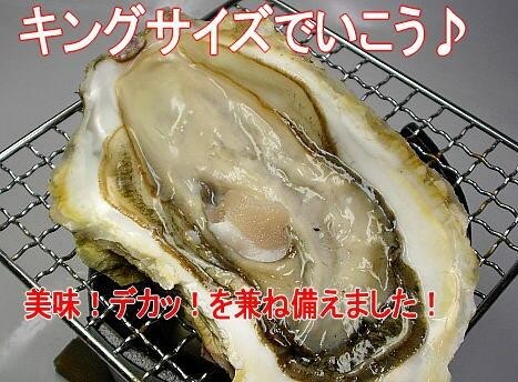 ̵ץꥢӥå󥭥󥰥 | ϤΤ󤻥⡼jp