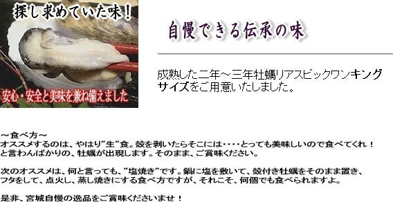 ̵ץꥢӥå󥭥󥰥 | ϤΤ󤻥⡼jp