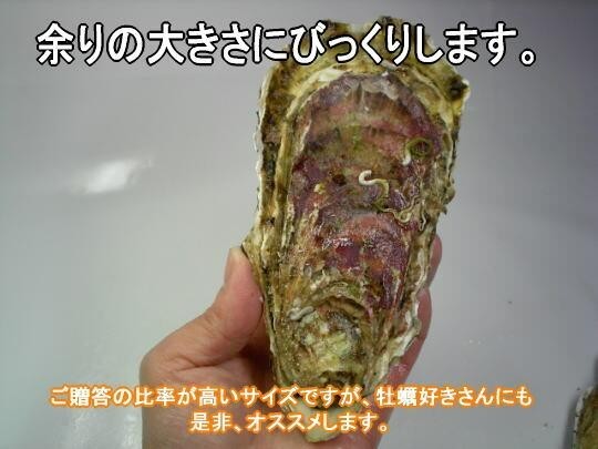 ̵ץꥢӥå󥭥󥰥  | ϤΤ󤻥⡼jp