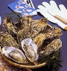 ¥Þ¥Ä¥·¥Þ¥é¡¼¥¸¥ª¥¤¥¹¥¿¡¼10¸Ä¡Ü¥ª¥¤¥¹¥¿¡¼¥Ê¥¤¥Õ¥»¥Ã¥È | ÆüËÜÁ´¹ñ³ÆÃϤΤª¼è¤ê´ó¤»¥â¡¼¥ëÉ÷ÅÚjp