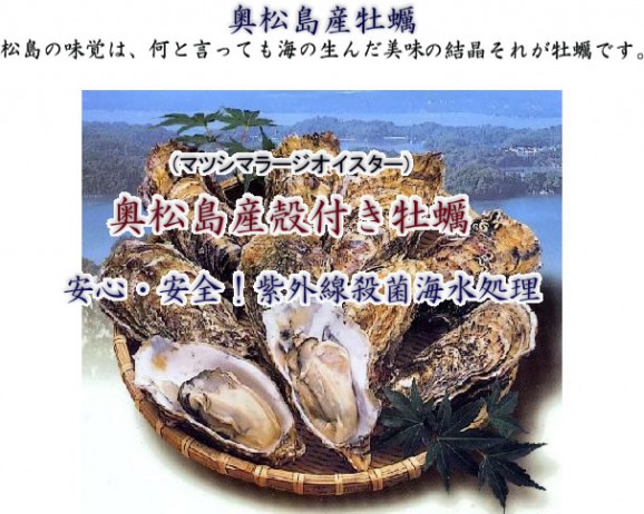 ¥Þ¥Ä¥·¥Þ¥é¡¼¥¸¥ª¥¤¥¹¥¿¡¼10¸Ä¡Ü¥ª¥¤¥¹¥¿¡¼¥Ê¥¤¥Õ¥»¥Ã¥È ²èÁü | ÆüËÜÁ´¹ñ³ÆÃϤΤª¼è¤ê´ó¤»¥â¡¼¥ëÉ÷ÅÚjp