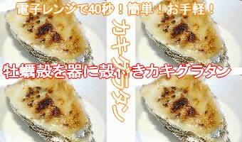 ϥꥸʥ롡դڥ饿󣱳  | ϤΤ󤻥⡼jp