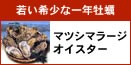 �ޥĥ��ޥ顼������������