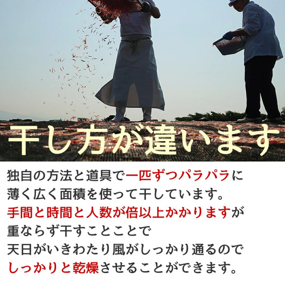 素干し桜えび(駿河湾産)17g×1袋 | 日本全国各地のお取り寄せモール風土jp