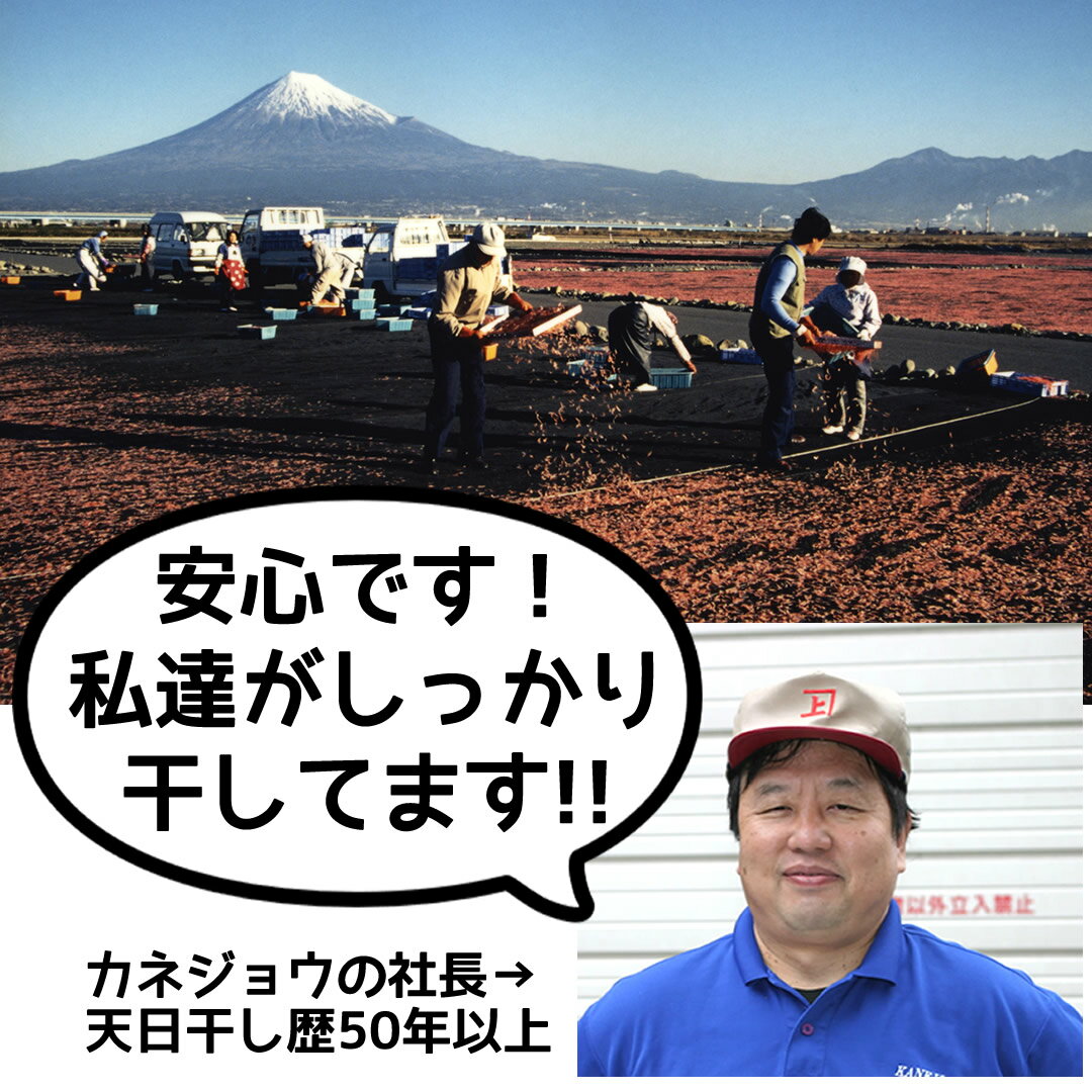 Ǵӡʽٲѻ17g1  | ϤΤ󤻥⡼jp
