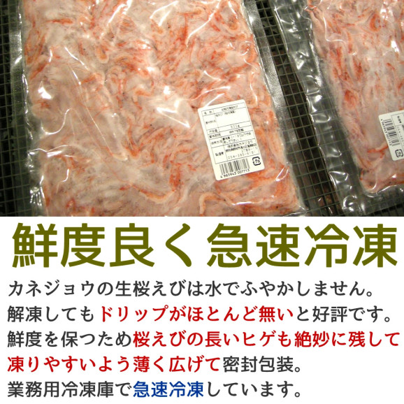 ひげ付き生桜えび 100g×1袋 | 日本全国各地のお取り寄せモール風土jp