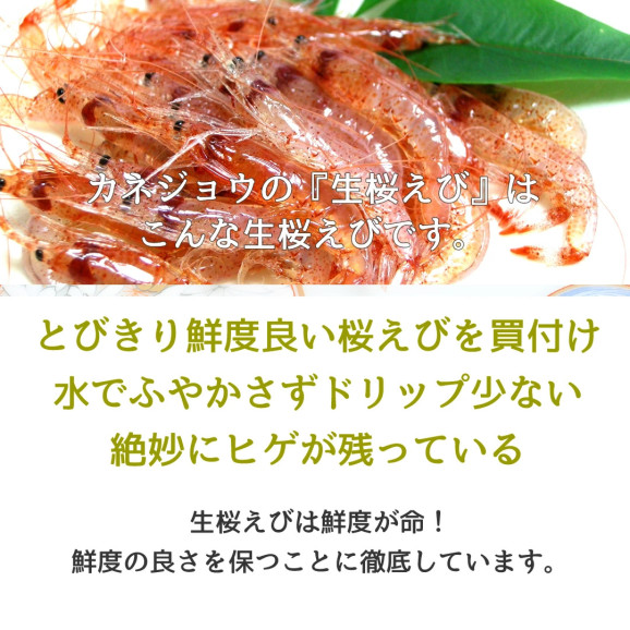 ひげ付き生桜えび 100g×1袋 | 日本全国各地のお取り寄せモール風土jp