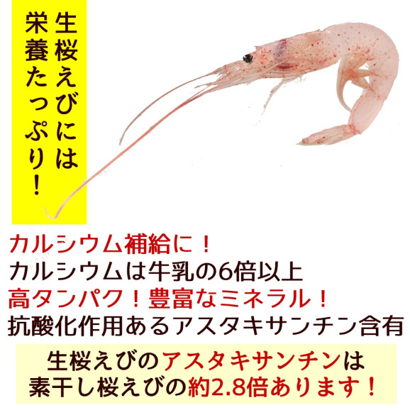 ひげ付き生桜えび 100g×1袋 | 日本全国各地のお取り寄せモール風土jp