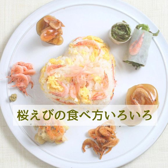 ひげ付き生桜えび 100g×1袋 | 日本全国各地のお取り寄せモール風土jp