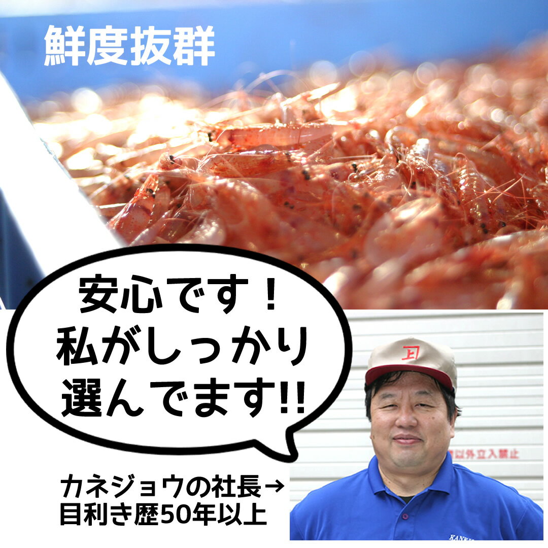 Ҥդ 100g1  | ϤΤ󤻥⡼jp