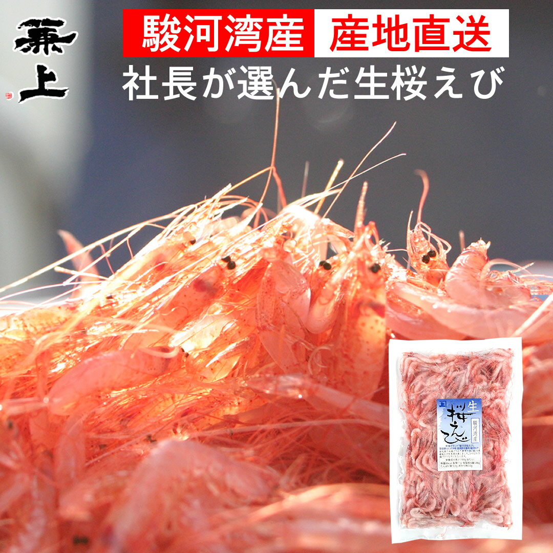 Ҥդ 100g1  | ϤΤ󤻥⡼jp