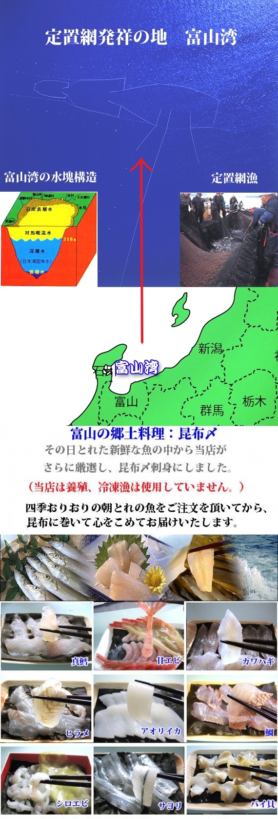 バイ貝昆布〆刺身 約70g | 日本全国各地のお取り寄せモール風土jp