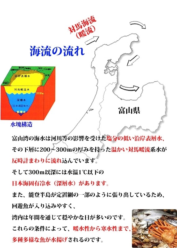 かじきまぐろ昆布〆刺身(黒皮カジキマグロ) 約250g | 日本全国各地のお取り寄せモール風土jp