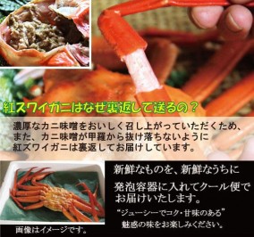 �ڿ��̸��ꡦͽ�������12/29�������ټ����ۥ����չȥ��磻���ˡ������1�ѥ�:��觤�<�ٻ��ѻ�ŷ����ͽ������ | ����������ϤΤ����󤻥⡼������jp